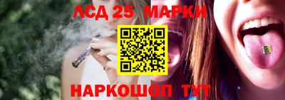 амф Гусев