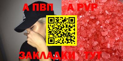 амф Гусев