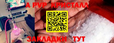 амф Гусев